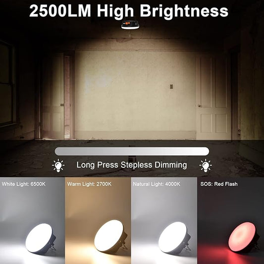 10000mAh 30W Rechargeable Camping Light with Remote 2500LM 2700/4000/6500K LED Camping Lantern Portable Camping Light IP65 Waterproof Tent Light Power Failure Emergency Survival Kits