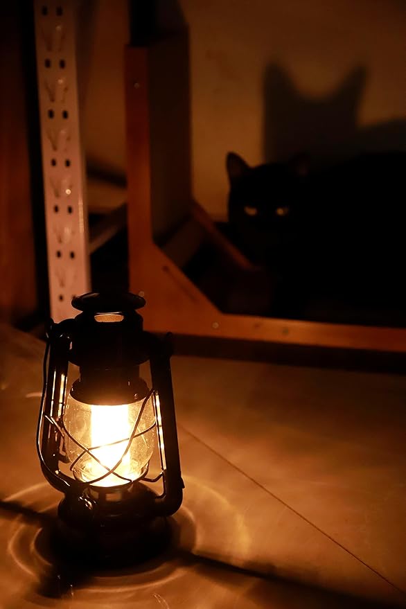 YAKii LED Vintage Lantern Metal Hanging Hurricane Lantern 12 LED Dimmer Switch Warm White Battery Operated Power Outage Indoor Camping Lighting Outdoor Brooklyn (Black 2 Pack)