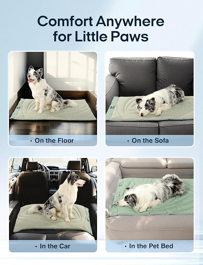 ZonLi Dog Cooling Mat, 59" x 40"Extra Large, Waterproof Cooling Pad for Dogs & Cats, Portable & Durable Pet Mat for Crate, Trunk, Camping, Outdoors, Machine Washable, Ice Green