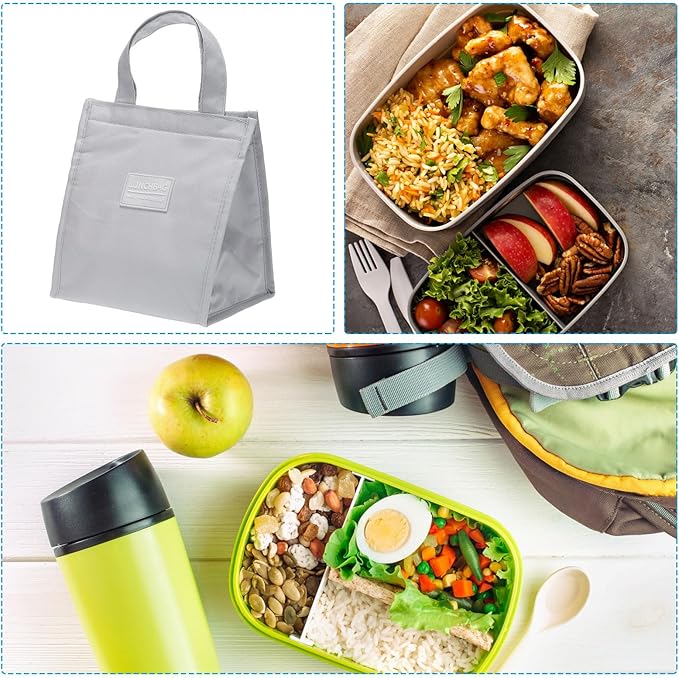 PATIKIL Insulated Lunch Bags, 8"x5"x9" Reusable Bento Bags Thermal Lunch Tote Portable Food Containers Bag for Men and Women, Grey