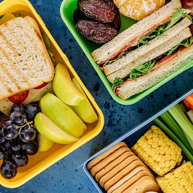 PATIKIL Insulated Lunch Bag, Oxford Cloth Waterproof Lunch Tote Bag Thermal Portable Lunch Box Food Container for Work Office Picnic Outdoor, 10.24"x6.69"x10.24", Blue