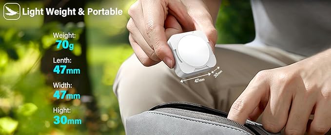 Rechargeable Camping Lights FLY2SKY 4Pcs White Tent Lights Mini Flashlight Portable LED Camping Lantern Survival Gear Camping Accessories for Hiking Backpacking Fishing Hurricane Emergency Outage