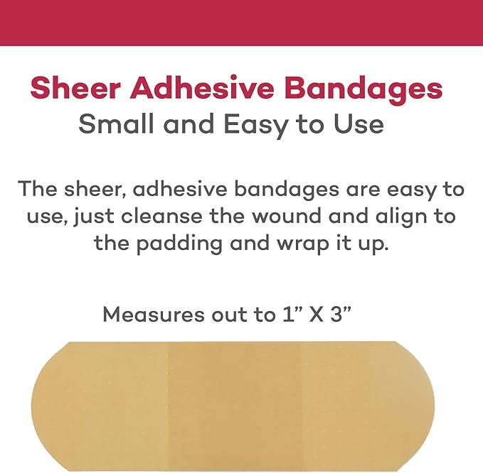 Dealmed Sheer Plastic Flexible Adhesive Bandages – 100 Count (2 Pack) Bandages with Non-Stick Pad, Latex Free, Wound Care for First Aid Kit, 1" x 3"
