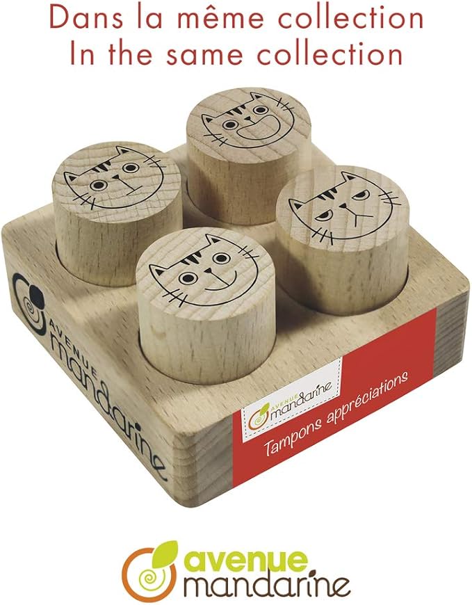 Avenue Mandarine - Ref CO157C - Appreciation Stamps (Set of 4) - Solid Quality Wooden Stamps with Positive Messages for Parents and Teachers to Add to Children's Work - Pack 1