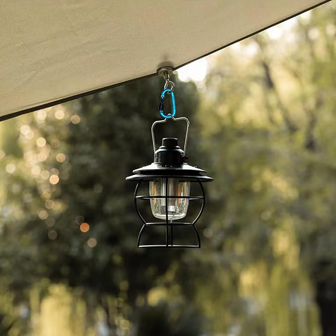 6 Pack Small Locking Carabiner Clips - 3 Inch Aluminum Alloy D-Ring Key Hooks with Twist Lock, Secure for Keys, Pet Leash, Travel Accessories (Not for Climbing)