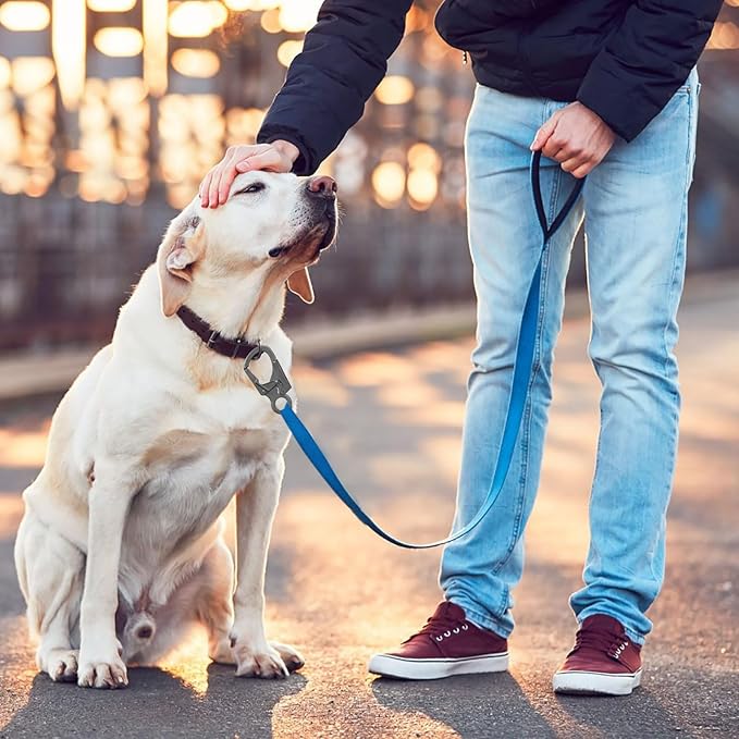 Ahiller Muscular Carabiner Hook，3.1" Alloy Thick Keychain Clip for Man, Outdoor Camping, Hiking Accessories, Key Ring