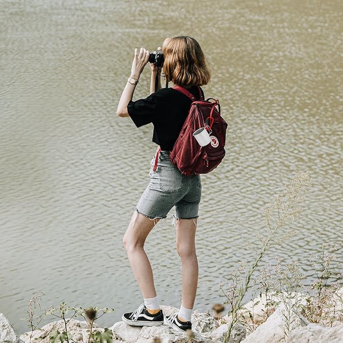 6 Pack Small Locking Carabiner Clips - 3 Inch Aluminum Alloy D-Ring Key Hooks with Twist Lock, Secure for Keys, Pet Leash, Travel Accessories (Not for Climbing)