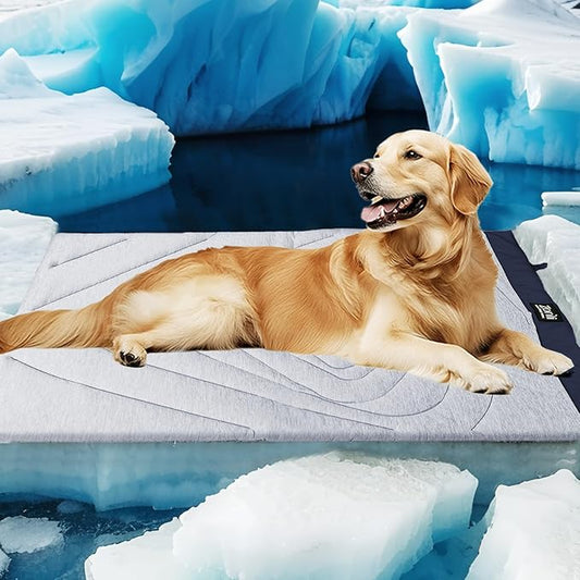 ZonLi Dog Cooling Mat, 59" x 40"Extra Large, Waterproof Cooling Pad for Dogs & Cats, Portable & Durable Pet Mat for Crate, Trunk, Camping, Outdoors, Machine Washable, Tidal Blue