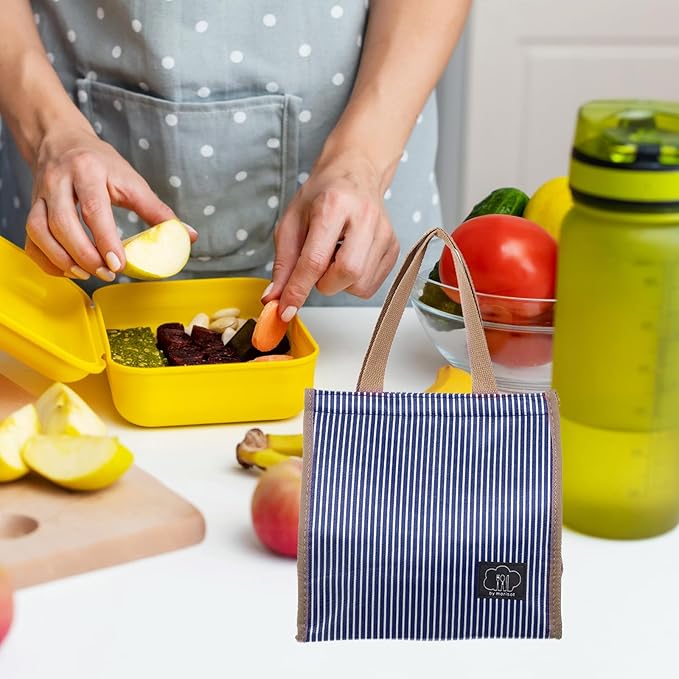 PATIKIL Insulated Lunch Bag, Oxford Cloth Waterproof Lunch Tote Bag Thermal Portable Lunch Box Food Container for Work Office Picnic Outdoor, 10.24"x6.69"x10.24", Blue