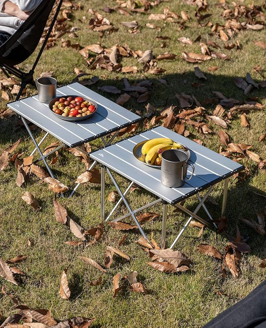 iClimb Ultralight Compact Camping Folding Table with Carry Bag (Reinforced Silver - S)