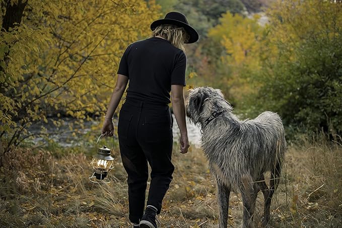 Barebones Railroad Lantern – Olive Drab, Vintage-Inspired LED Camping Lantern with Rechargeable Battery – Adjustable Brightness Outdoor Light for Camping Gear, Backyard, and Home Decor