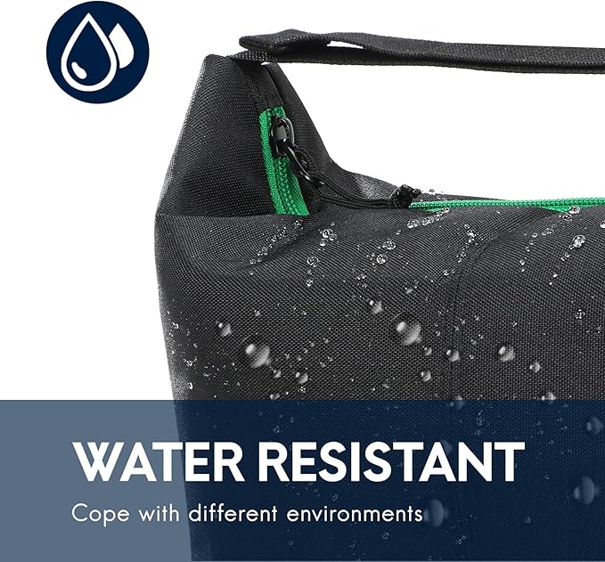 Haimont Small Insulated Lunch Bag for Women Men, Portable Lunch Tote Cooler with Buckle, Leakproof Reusable Lunchbox for Work Picnic Travel, Black