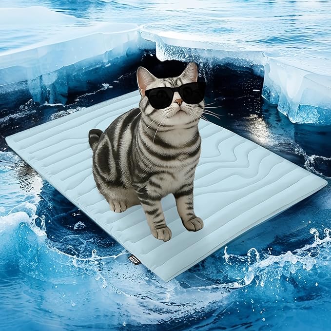 ZonLi Dog Cooling Mat, 20" x 16"Small, Reversible Cooling Pad for Cats & Rabbits (Cool & Warm), Durable & Machine Washable, Pet Mat for Crate, Kennel, Bed, Sofa, Polar Blue