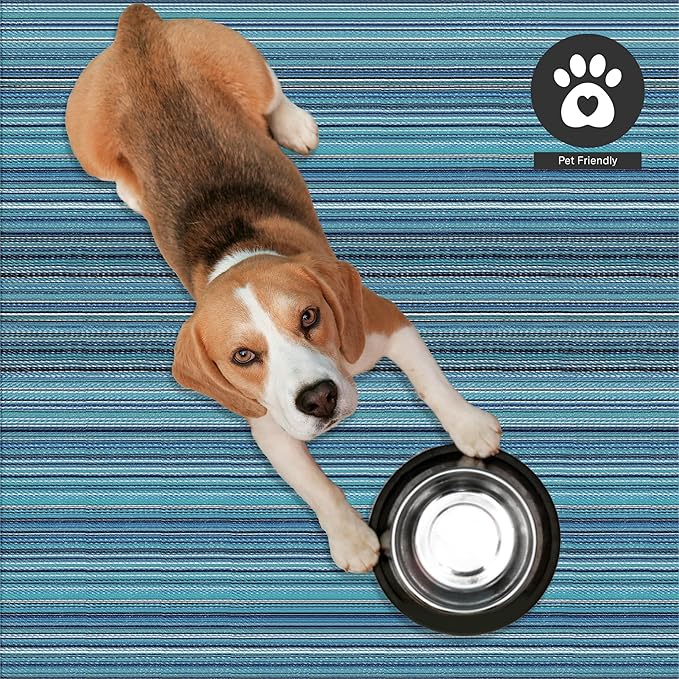 FH Home Outdoor Rug - Waterproof, Fade Resistant, Crease-Free - Premium Recycled Plastic - Striped - Patio, Deck, Porch, Balcony, Laundry Room - Havana - Turquoise Crease Free - 4 x 6 ft